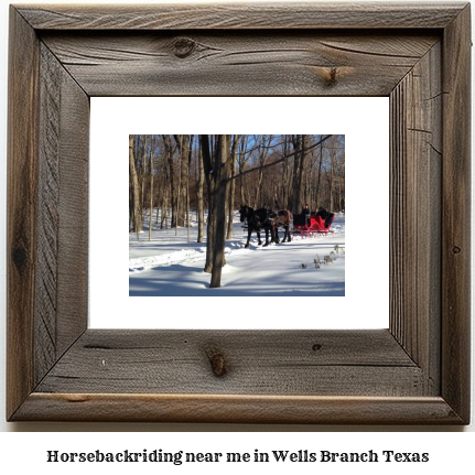 horseback riding near me in Wells Branch, Texas